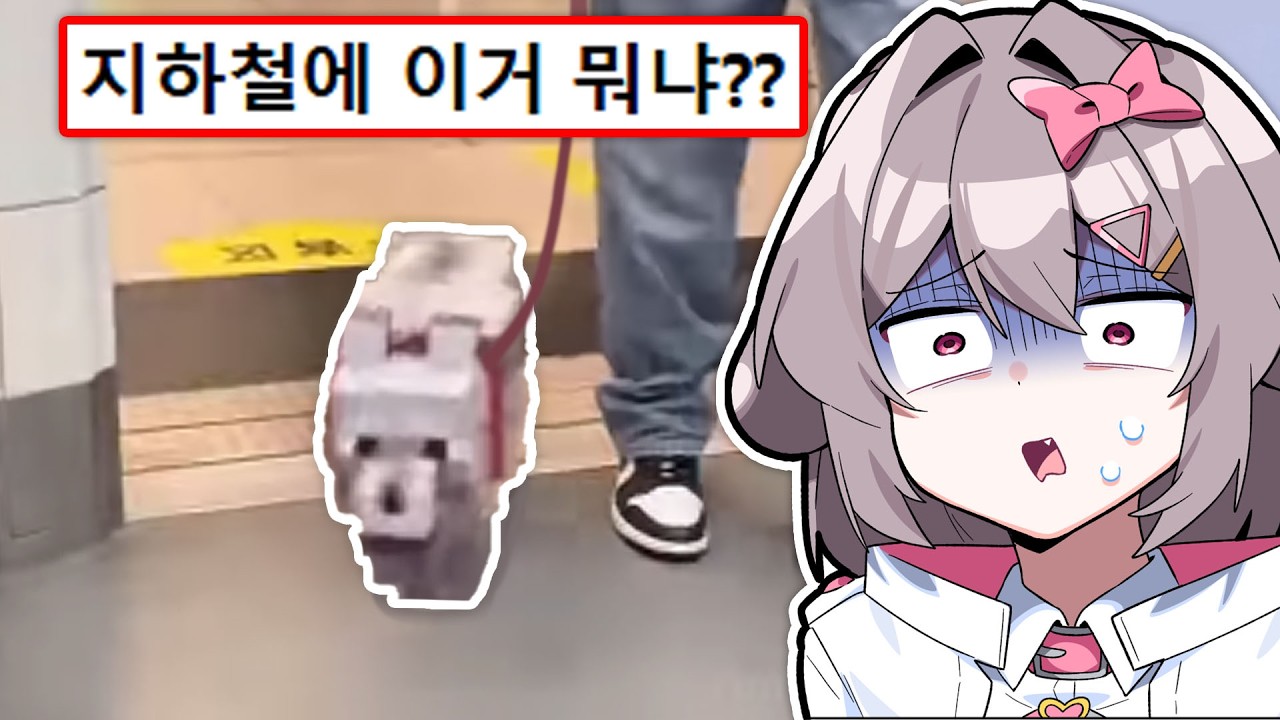 역대 지하철 민폐 빌런 모음ㄷㄷ..