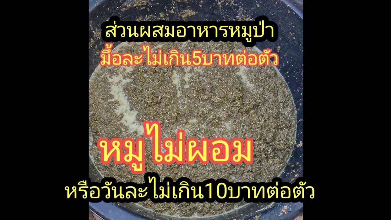 อาหารหมูป่า#ส่วนผสมอาหาร