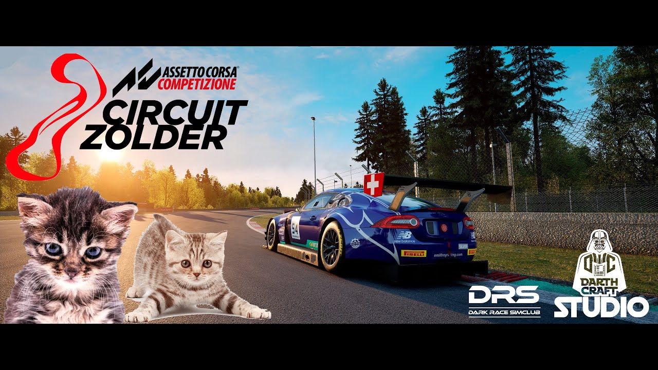 Чи вийде ПРИБОРКАТИ КИЦЮ на івенті від DRS по Assetto Corsa Competizione?