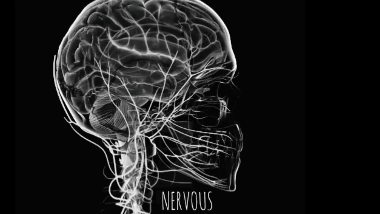 Nervous - Apa Salah (Grunge Indonesia)