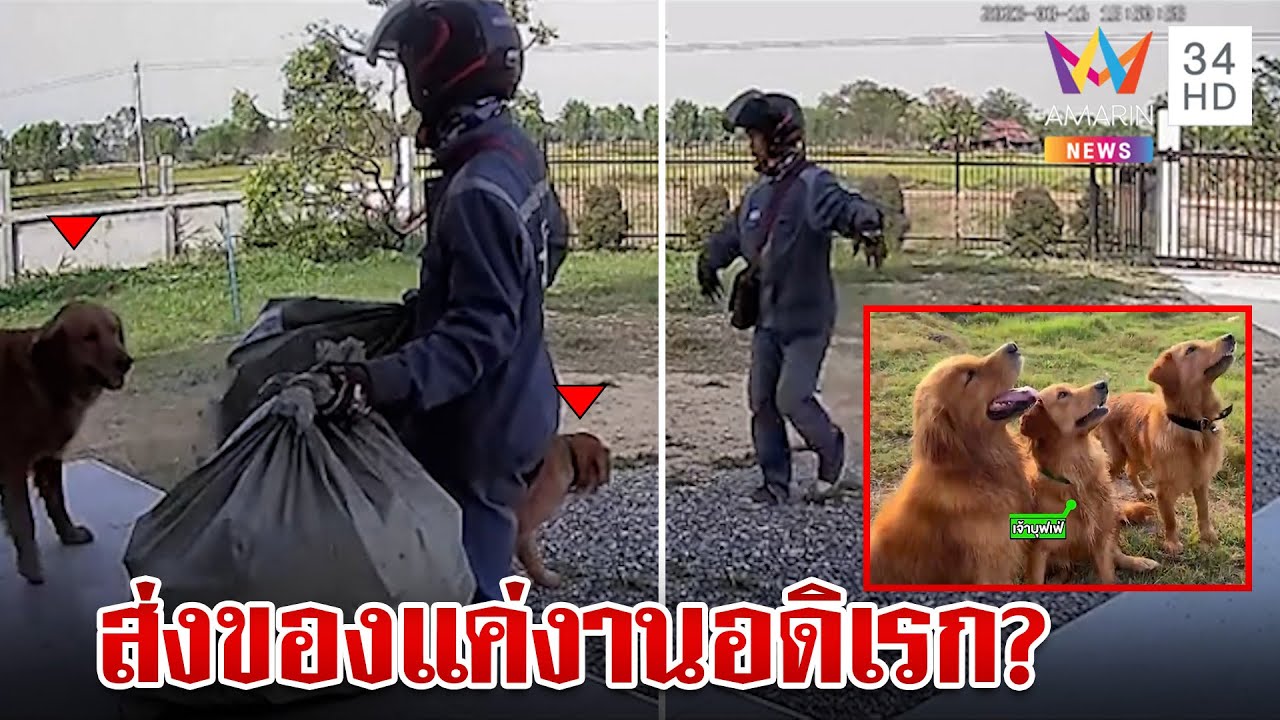 โมเมนต์สุดน่ารักพนักงานส่งของเล่นกับน้องหมาขี้เหงา | ทุบโต๊ะข่าว | 21/03/66