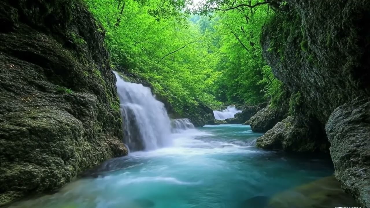 Gentle Piano Music & Water Sounds | Calm Your Mind and Meditate 🌸 Relaxing,soft music Spa