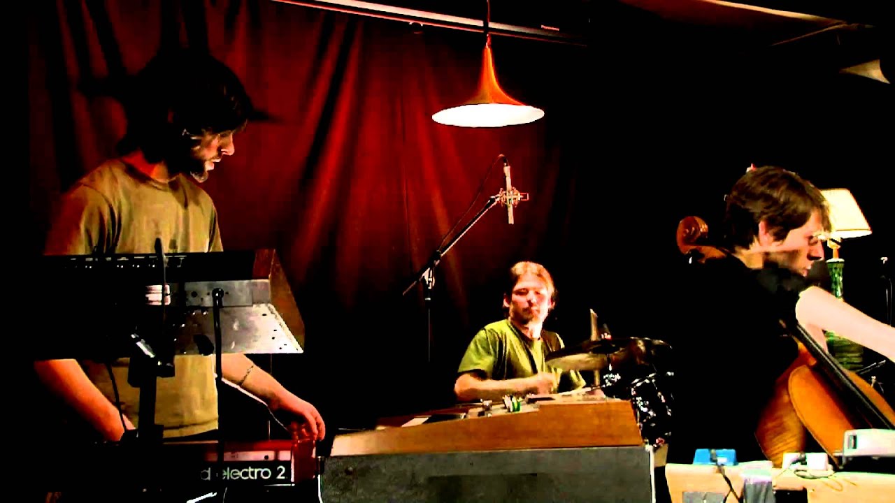 Sweet Mother Logic - Counting Sheep - Experimental / Acoustic / Pop - Montreal 2010