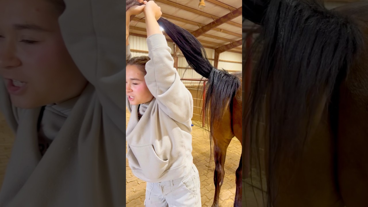 Beginner Vs Experienced Horse Owners! 🐴 #shorts #animals