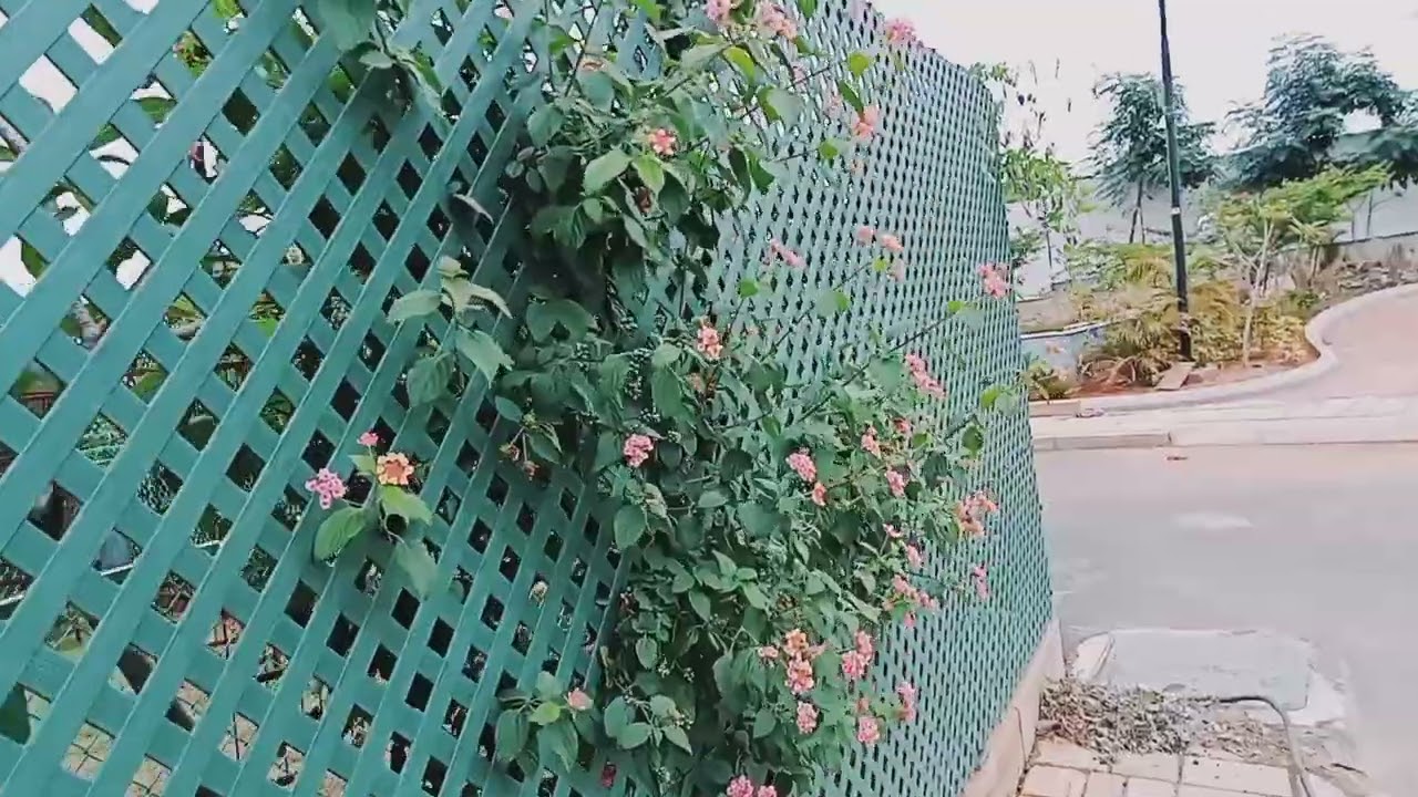 PURVANKARA - VILLAS &GARDEN  - SOUND OF WATER (STARWORTH)