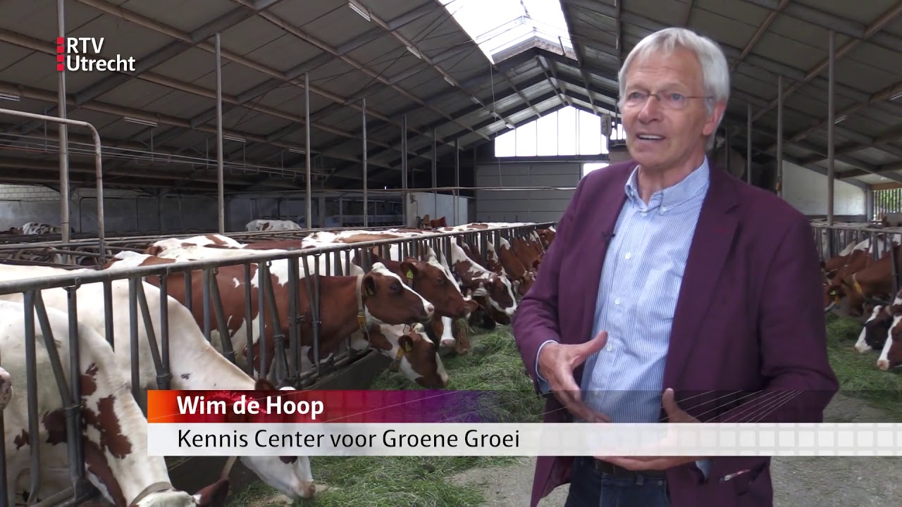 Gemaaid gras blijft groen in Werkhovense stal [RTV Utrecht]