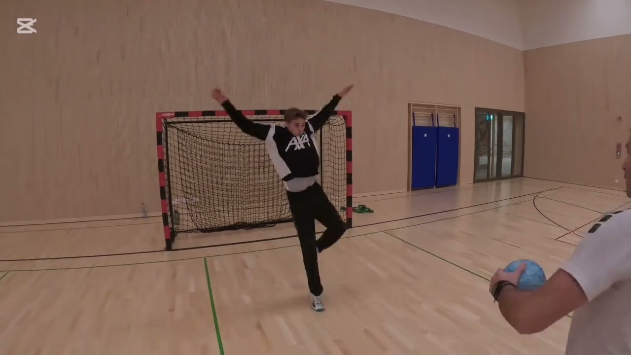 Goalkeeper training by Rajko Milosevic
