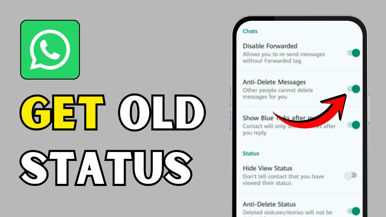 Как вернуть старые статусы в WhatsApp