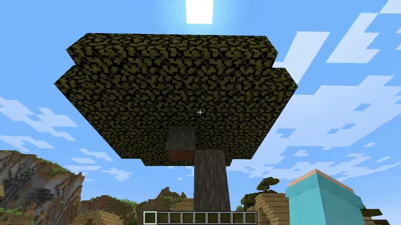 Settings ដែលអ្នកគួរដឹងនៅក្នុង Minecraft!