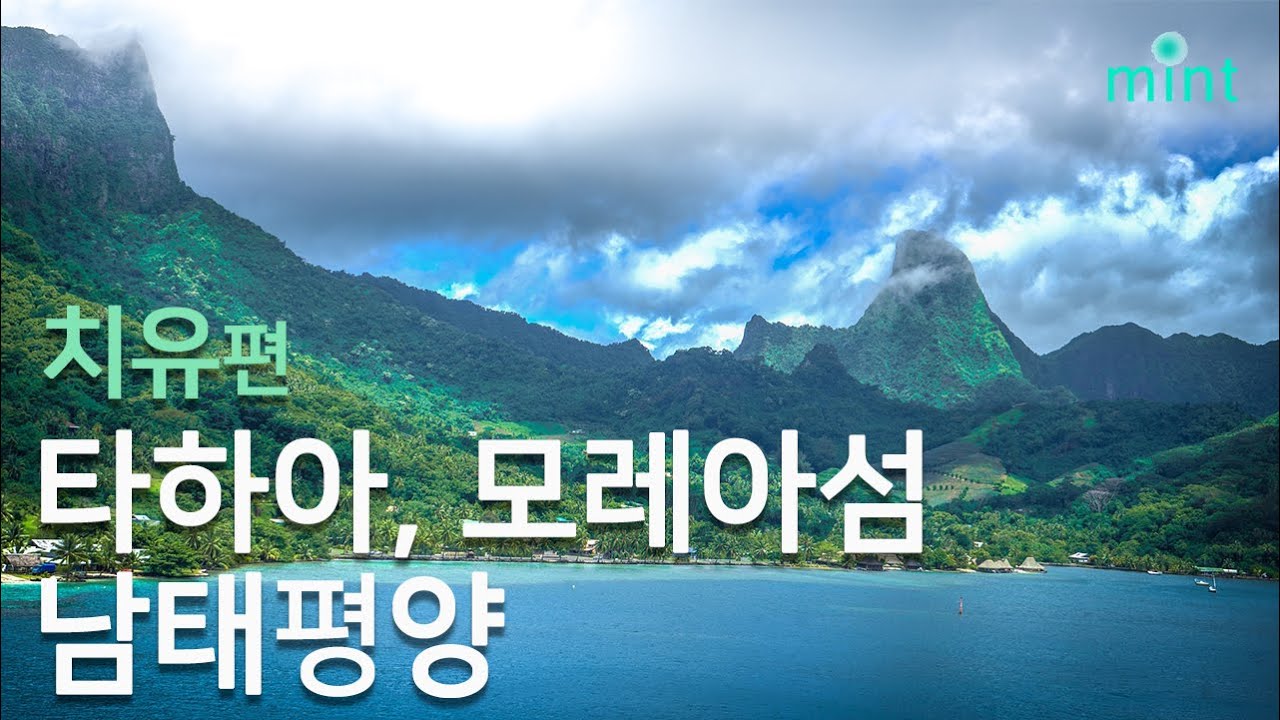 #타하아 #모레아 산호섬 곳곳 바닐라향 &lsquo;풀풀&rsquo;&hellip;사랑도 &lsquo;폴폴&rsquo; 66TA7