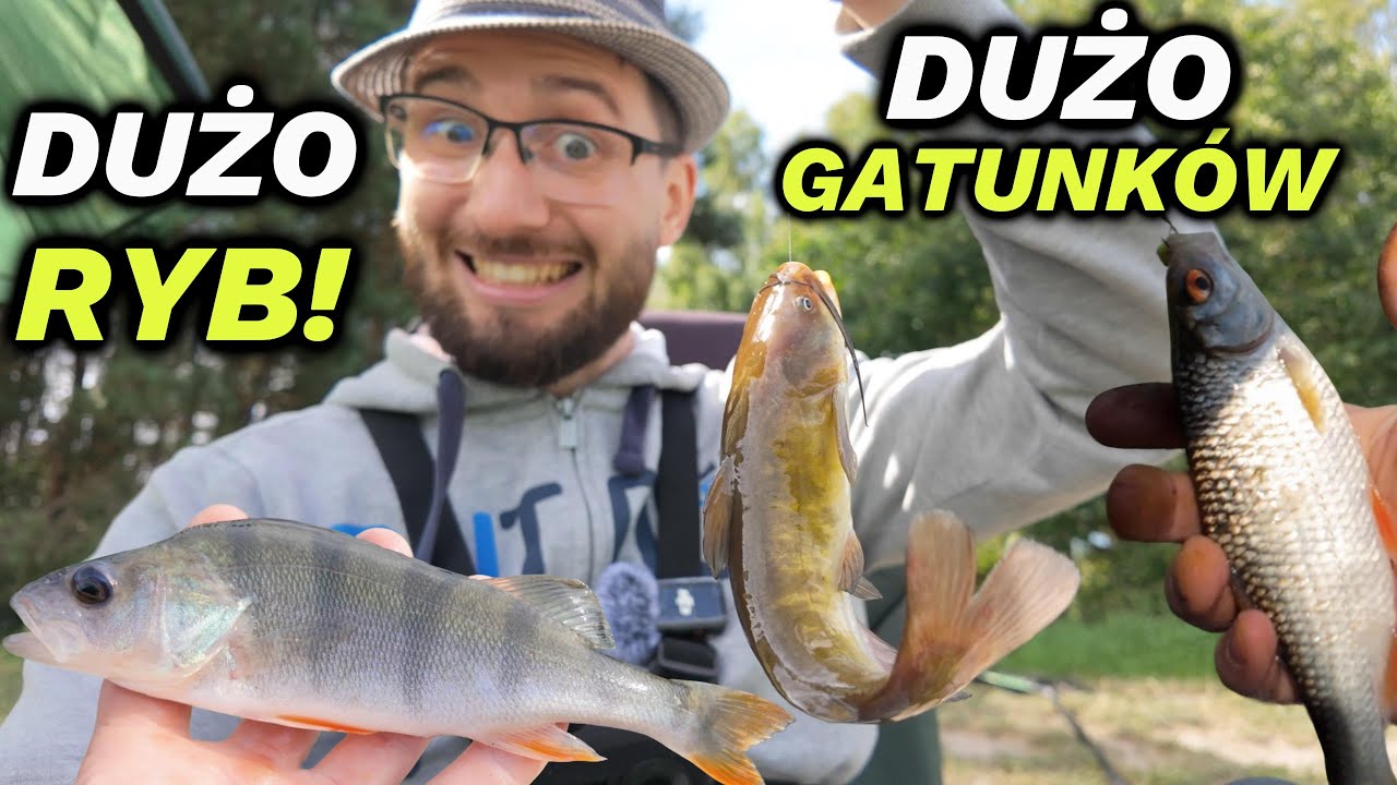 Method feeder + spławik nad jeziorem! | DUŻO RYB