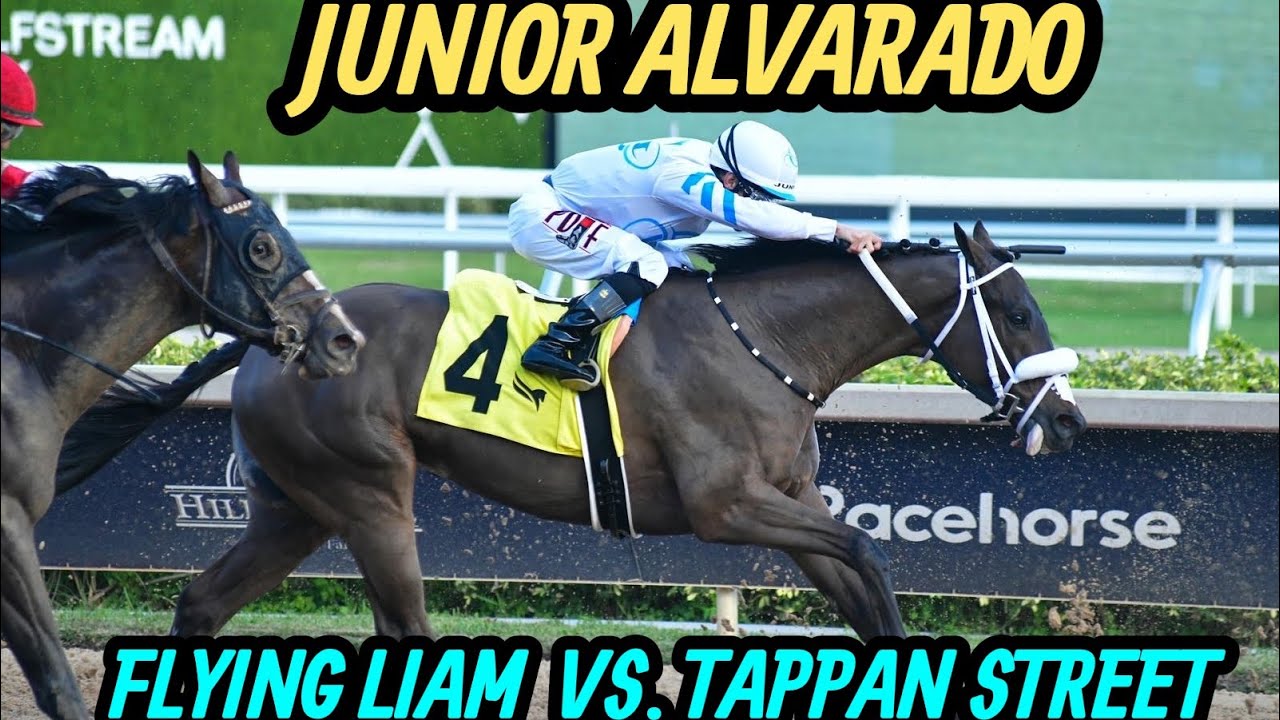 JUNIOR ALVARADO Y FLYING LIAM QUE CLASE DE CARRERA