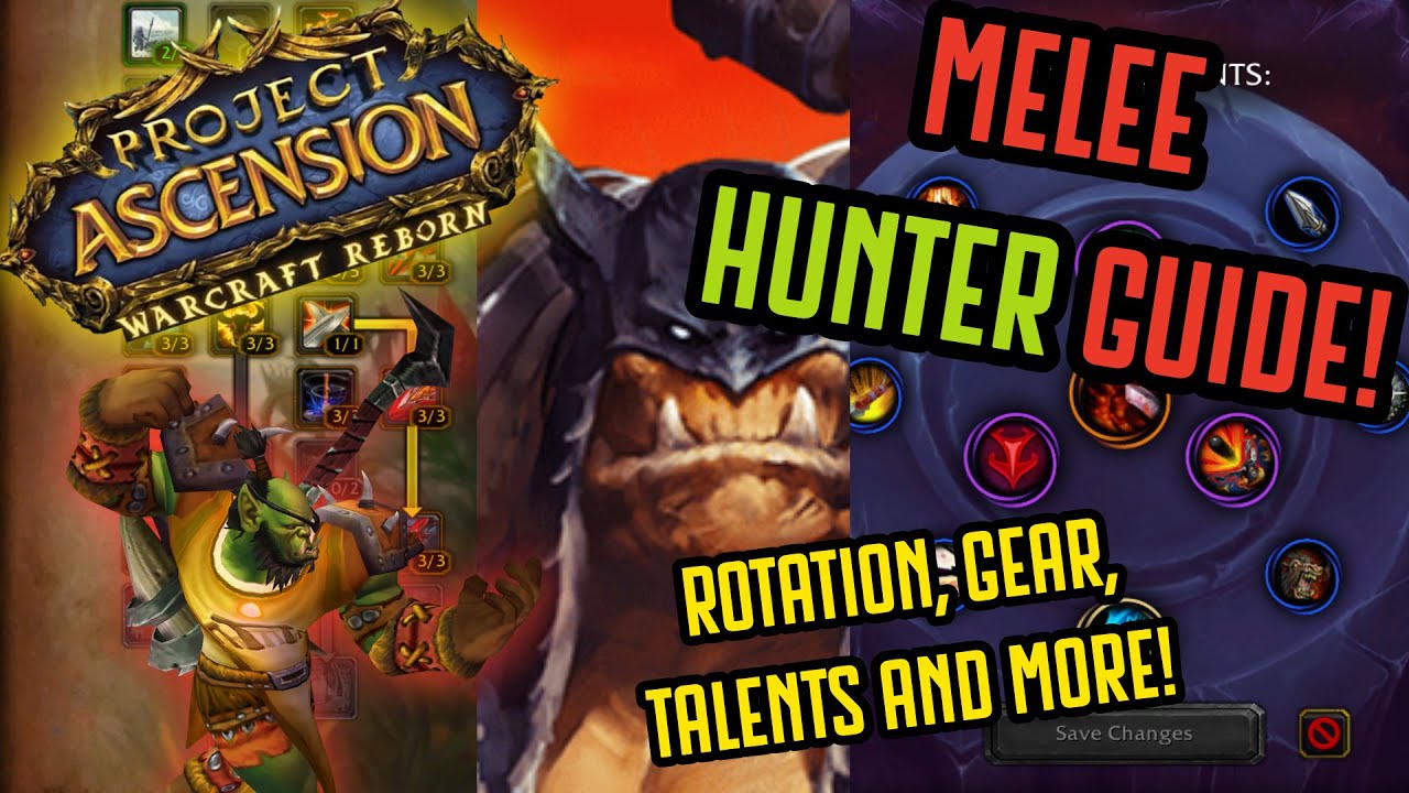 MELEE HUNTER GUIDE! [Warcraft Reborn | Ascension Bronzebeard]