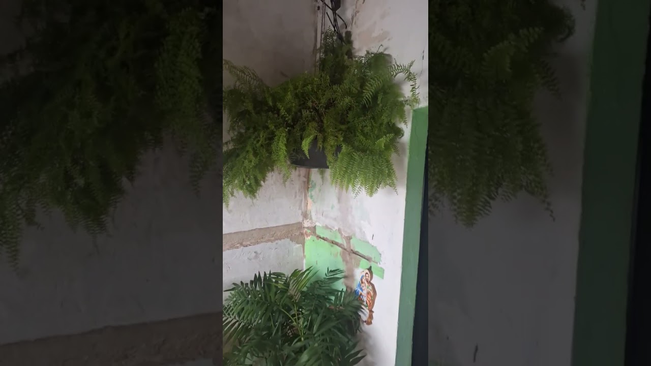 Veja que maravilha o Senhor Jesus mandou para nós
