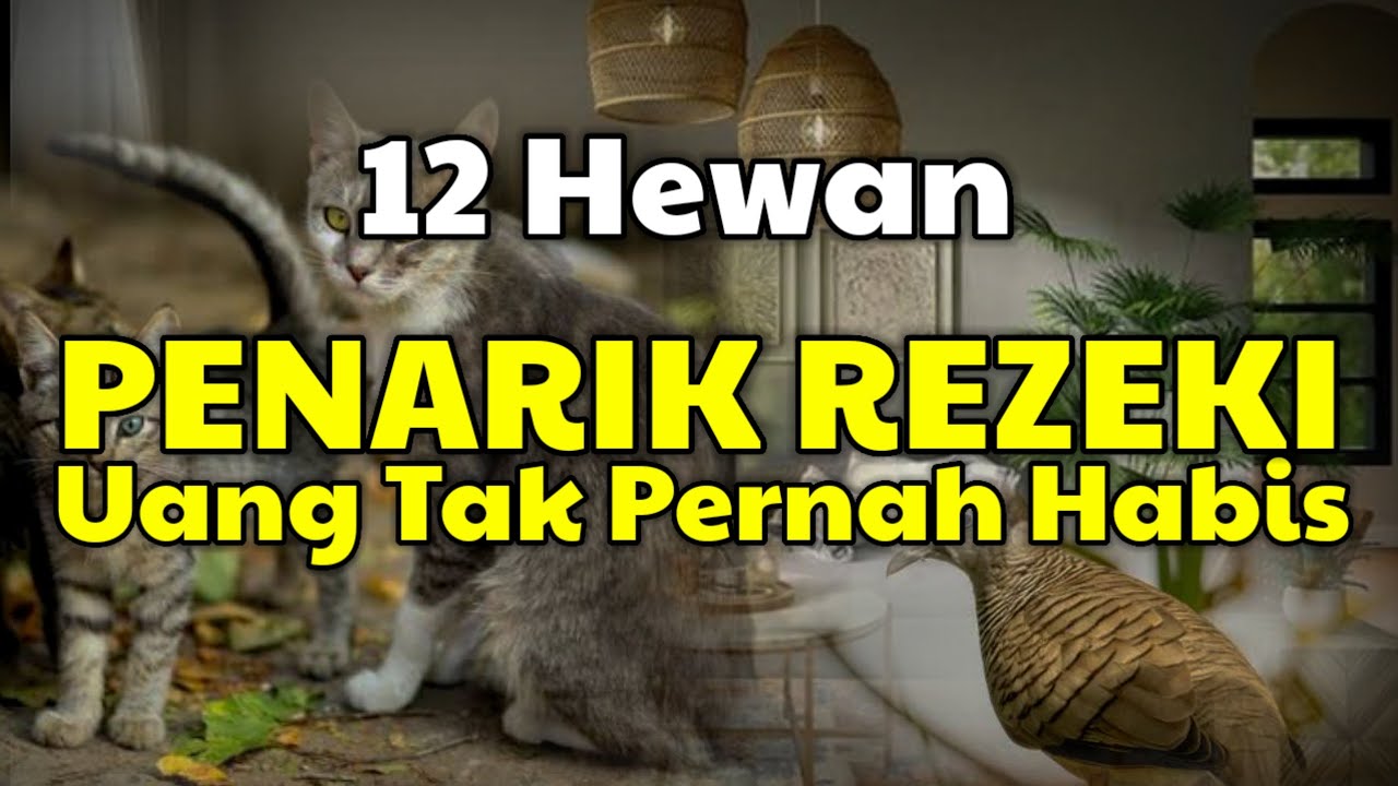JANGAN DIUSIR !! 12 Hewan Pembawa Rezeki Jika Masuk Rumah