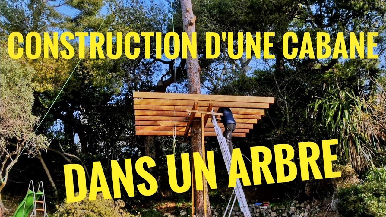 construction d'une cabane dans un arbre
