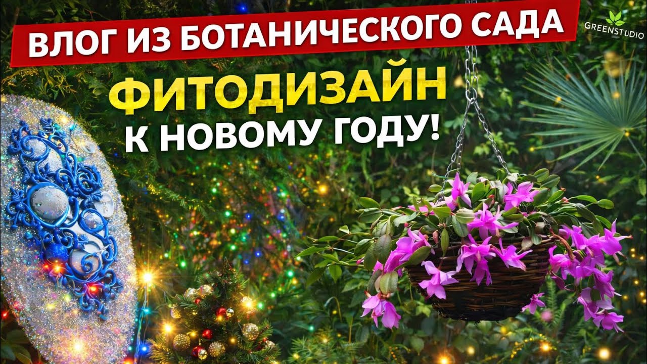 Новогоднее оформление оранжерей: фитодизайн от GREENSTUDIO || Как украсить Ботанический сад Петра ? 