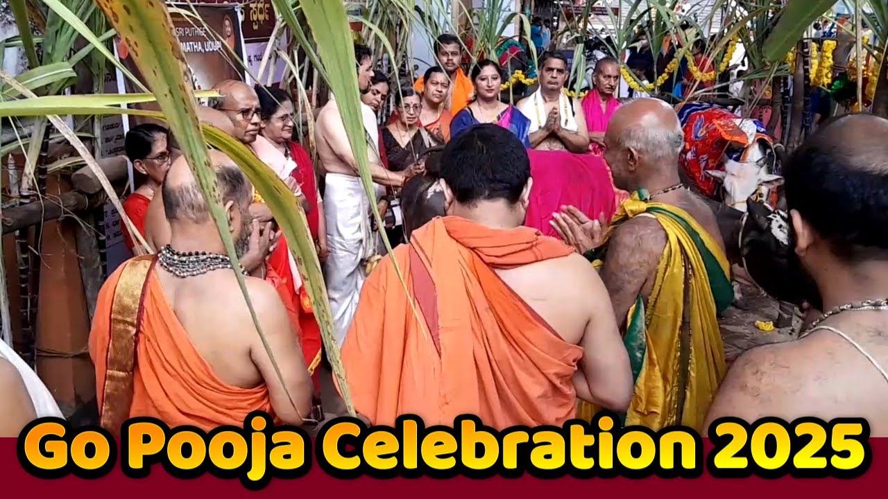 Udupi Krishna Temple || Go Pooja Celebration 2025