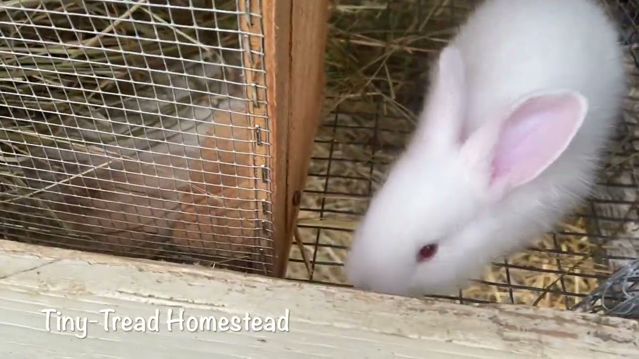 ESCAPE!!!!!