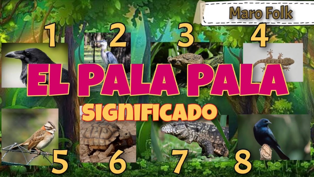 “PALA PALA CANCIÓN CON SIGNIFICADO” “PALA PALA ACTIVIDADES PARA EL AULA “