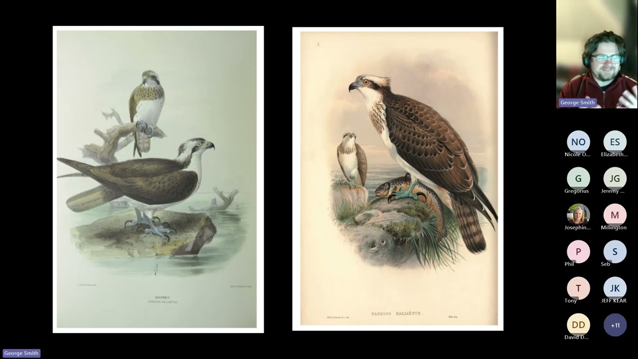 Rutland Osprey Project Online Talk Recording