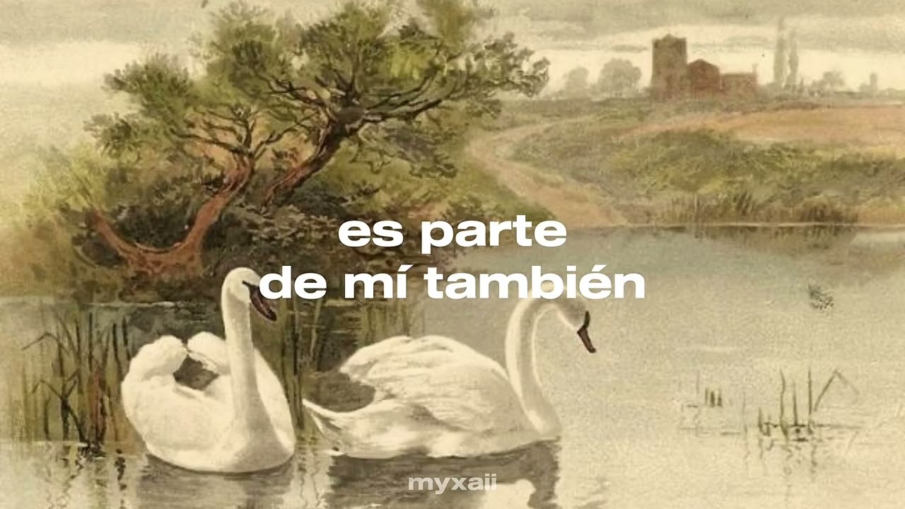 Swan - Not for radio (Sub. Español) 