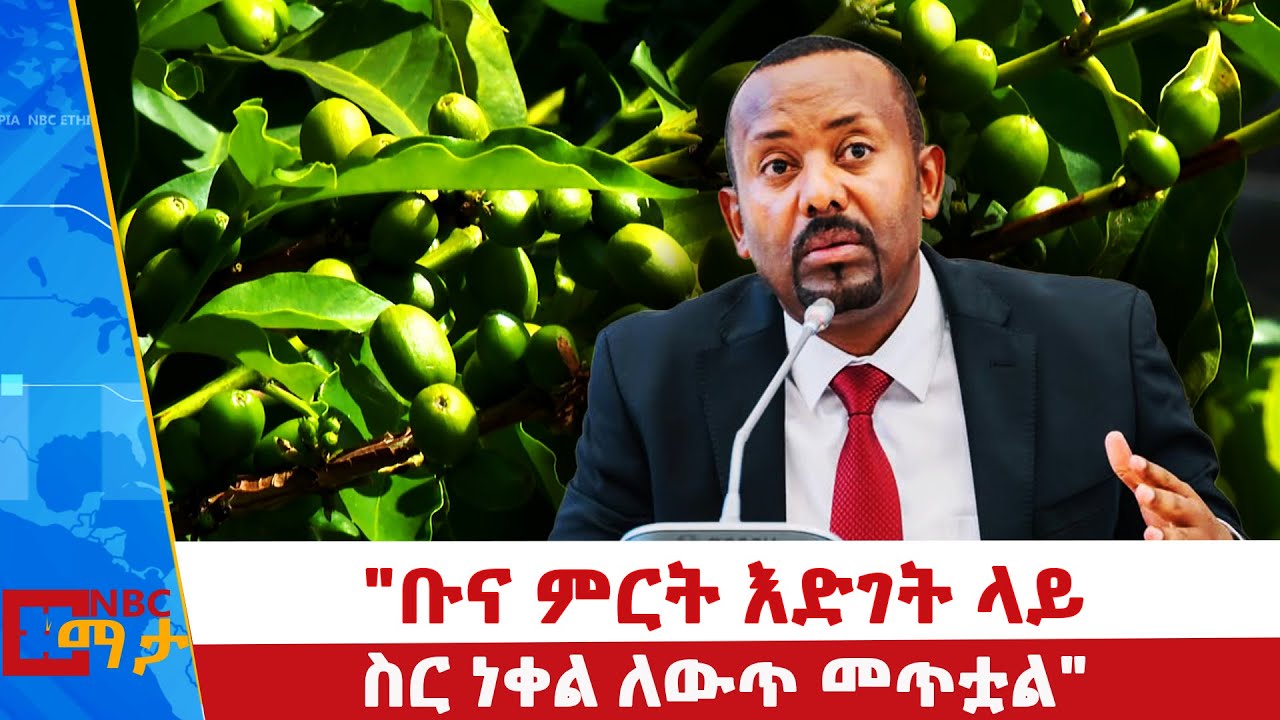የቡና ምርት ዕድገት በኢትዮጵያ! _NBC ማታ @NBCETHIOPIA ​