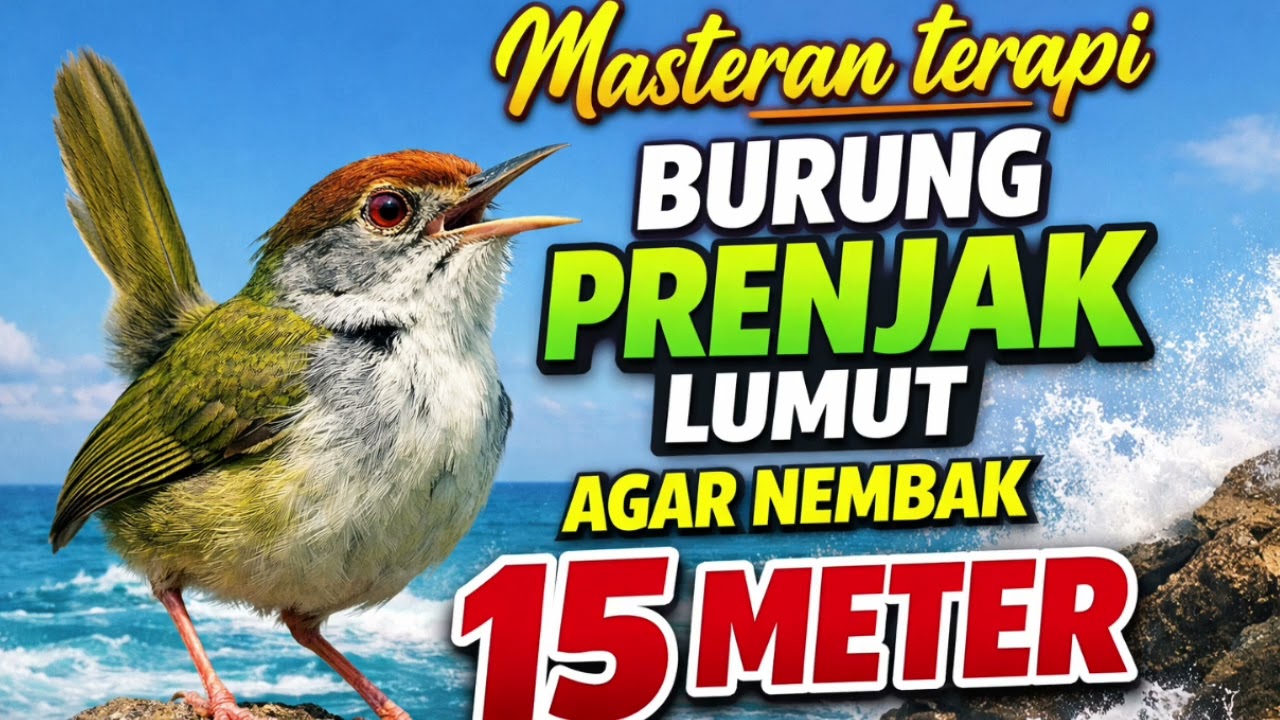 Prenjak Gacor Suara Ampuh💯% BIKIN PRENJAK ANDA JADI ISTIMEWAAAAAHHH POLLL 14 Februari 2026