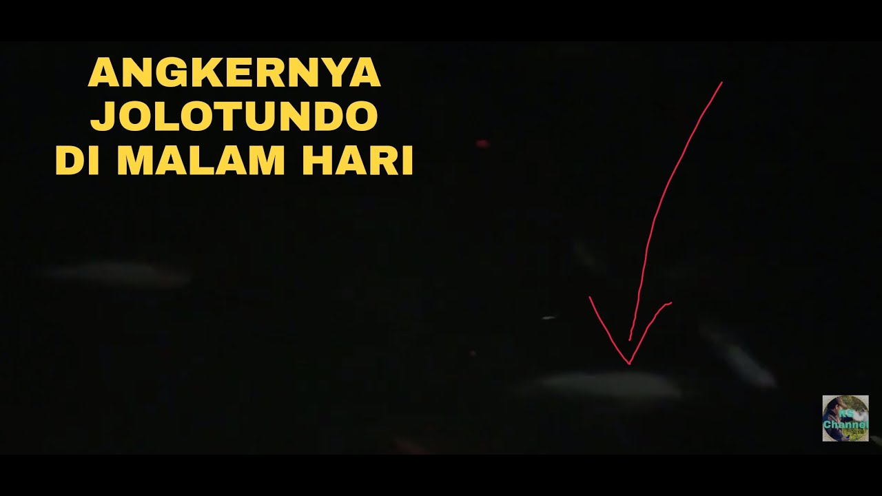Angkernya Jolotundo pada malam hari