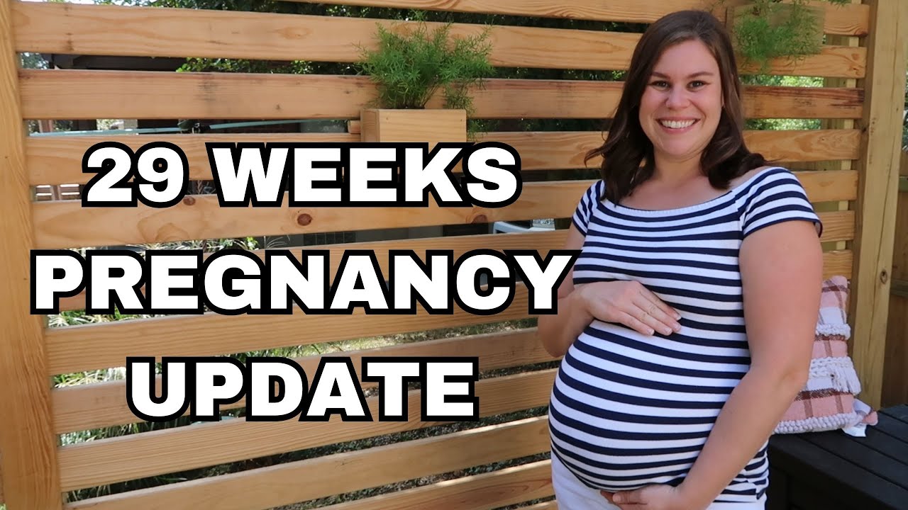 29 WEEKS PREGNANCY UPDATE