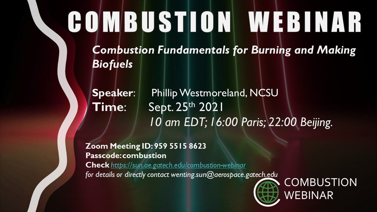 Combustion Fundamentals for Burning and Making Biofuels