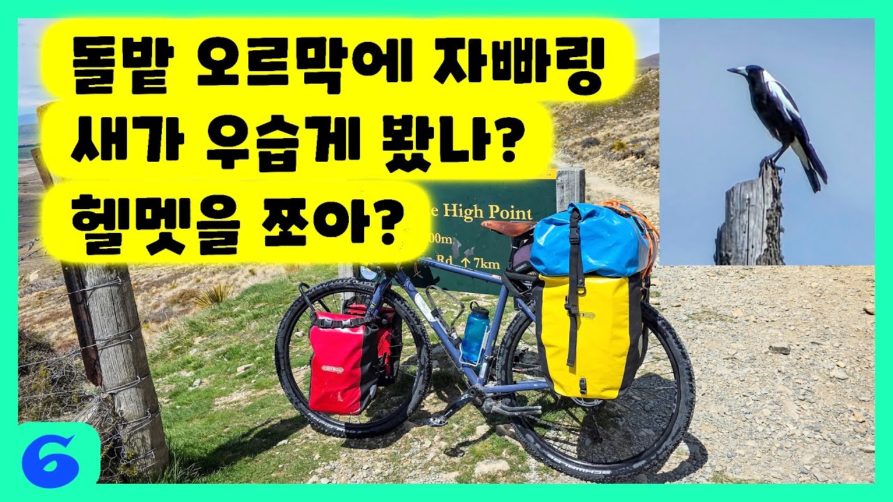 NZ06 넘어지고, 공격당하고, 그래도 최고였던 하루 ; 가장 힘들었던 비포장 임도 350m 업