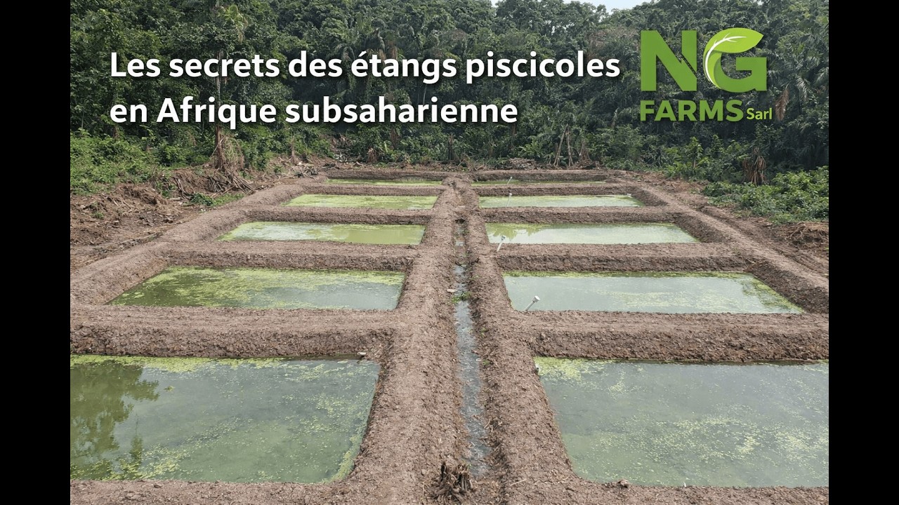 8 Étangs, 2 Tonnes par Mois : La Stratégie Gagnante