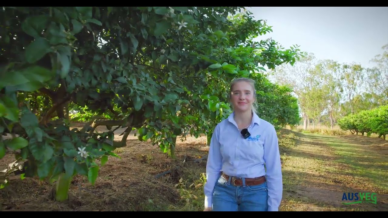 Growing a Career in Horticulture: Agronomist