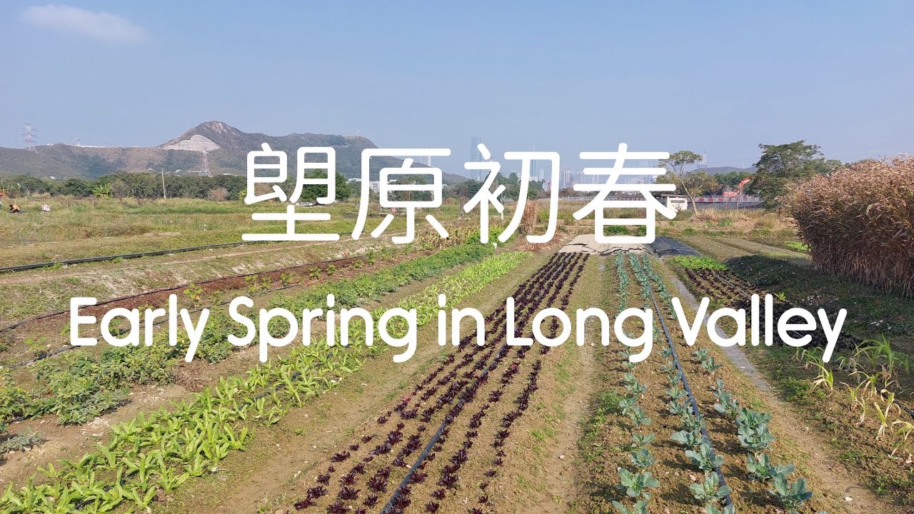 塱原初春 Early Spring in Long Valley