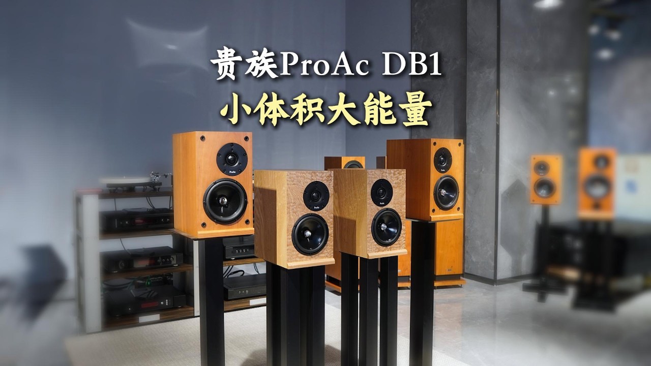 贵族ProAc DB1 小体积大能量！ ProAc DB1 樱桃木 vs 雀眼木 双色登场！#audiophile #hifi #hifiaudio #hiend #stereo