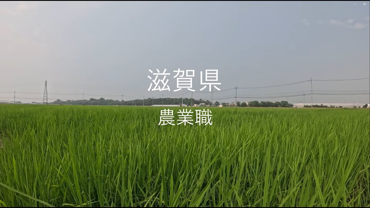 滋賀県庁技術系職種しごと紹介！（農業職）