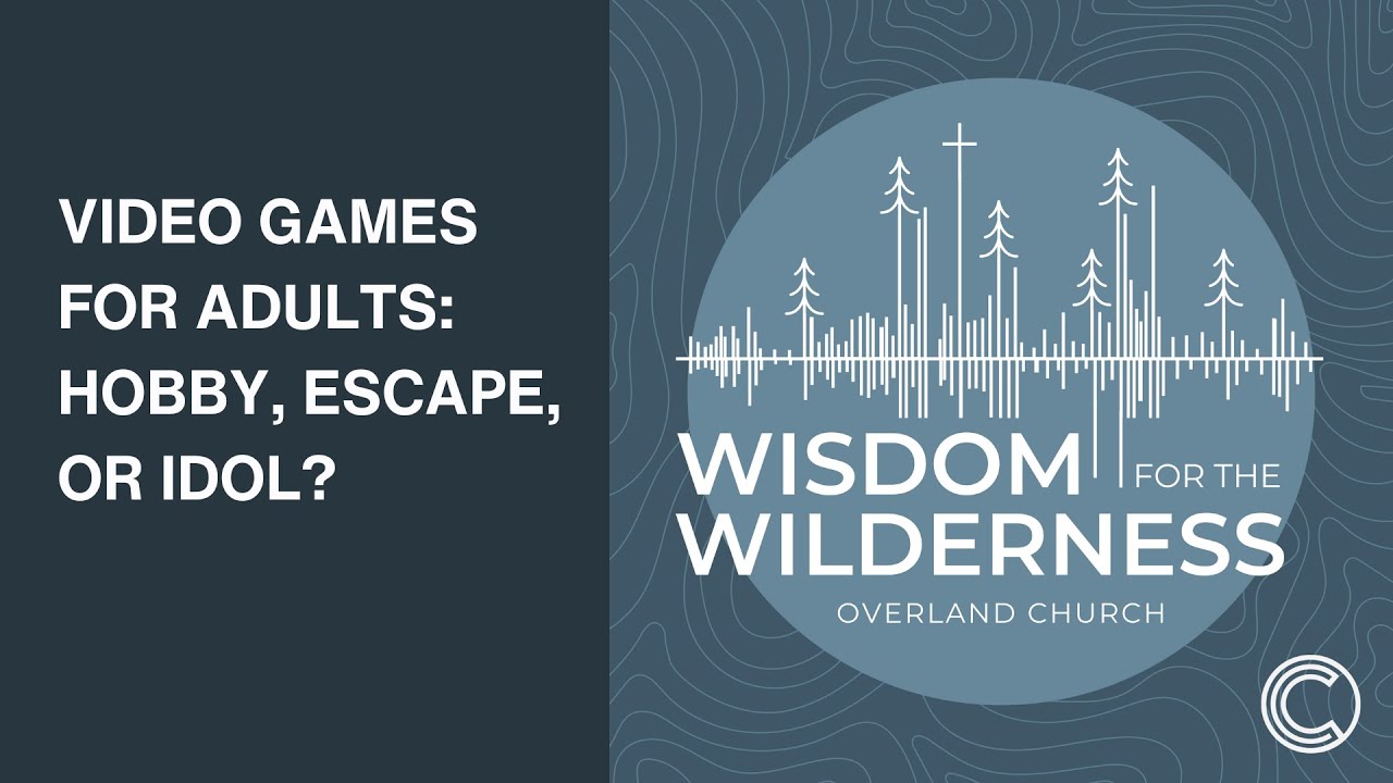 Video Games for Adults: Hobby, Escape, or Idol?