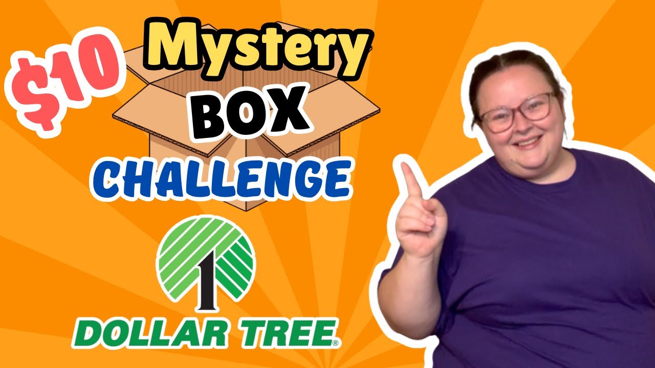 ✨NEW✨$10 Mystery Box Challenge || Dollar Tree Edition || Making a Meal with Mystery Ingredients 