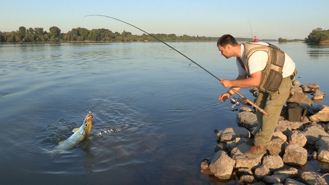 Pecanje štuke i smuđa na Dunavu kod Slankamena - Varaličarenje | Fishing pike and zander