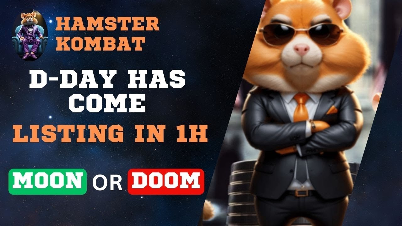 🚨 Hamster Kombat Price Prediction and Profit Calculation! My Reflections🚨