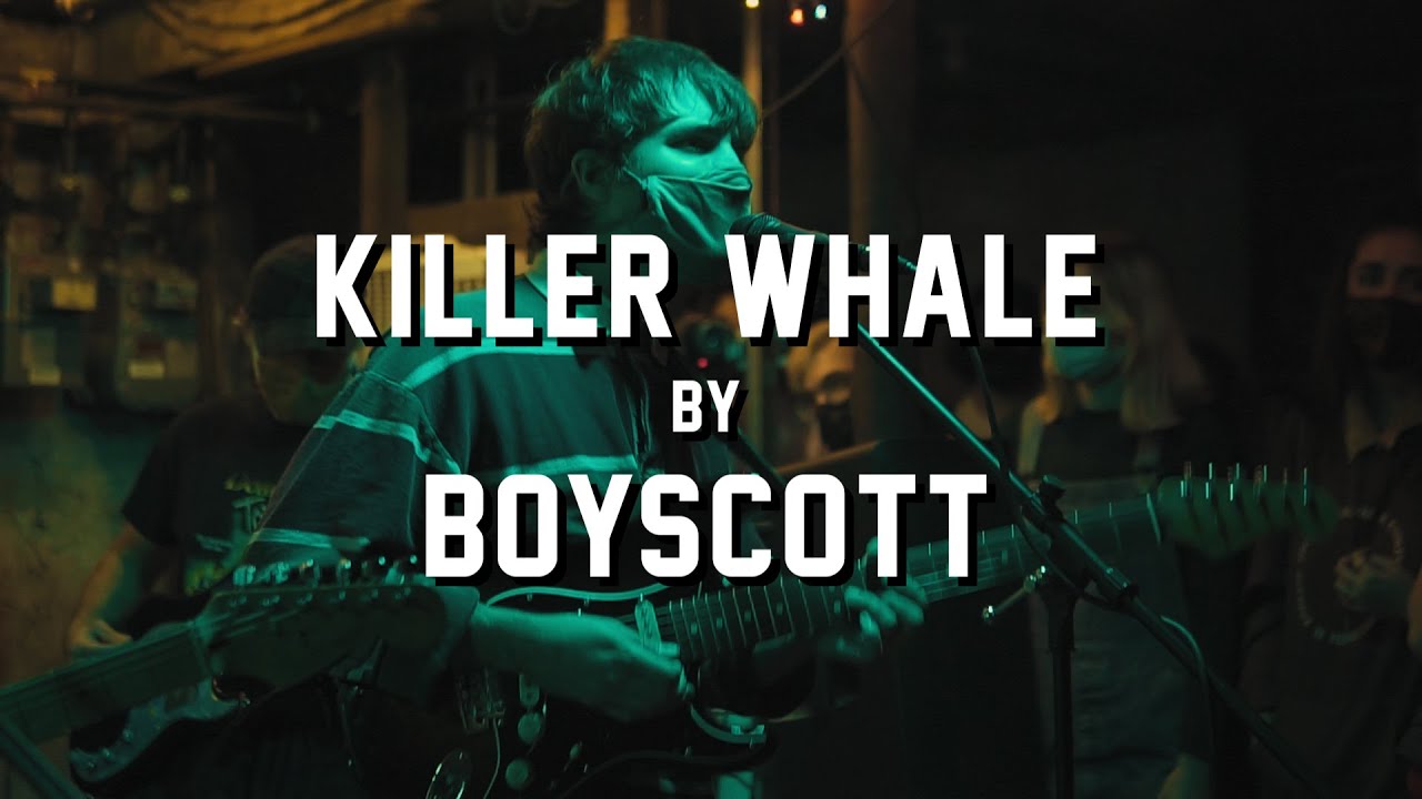 Killer Whale by Boyscott @ Brinstar