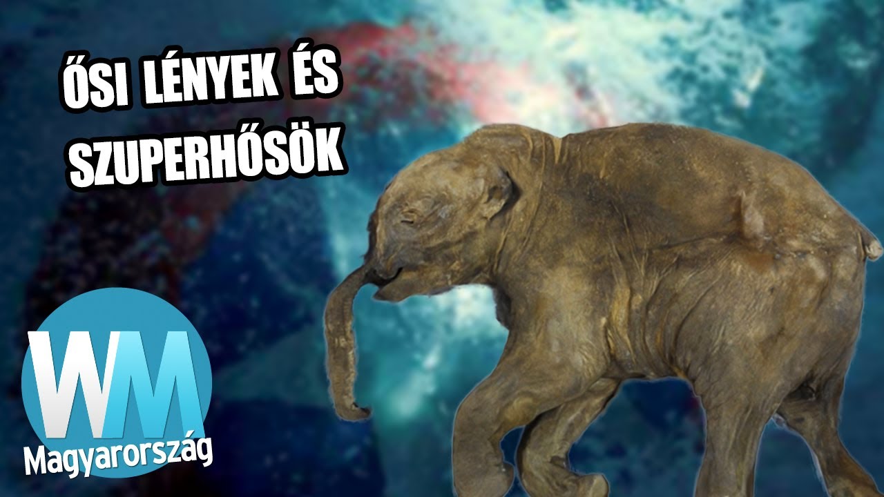 Top 10 csodálatos dolog, amit jégbe fagyva találtak