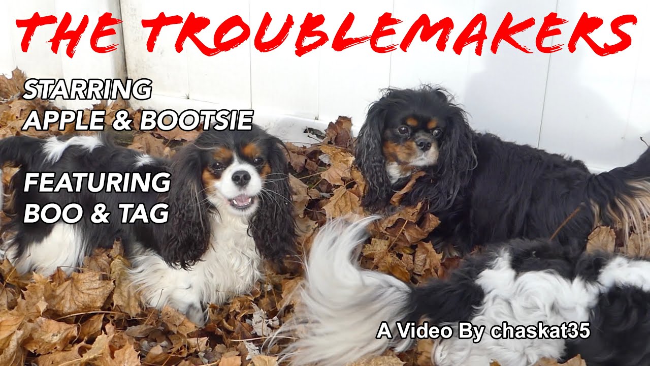 The Troublemakers