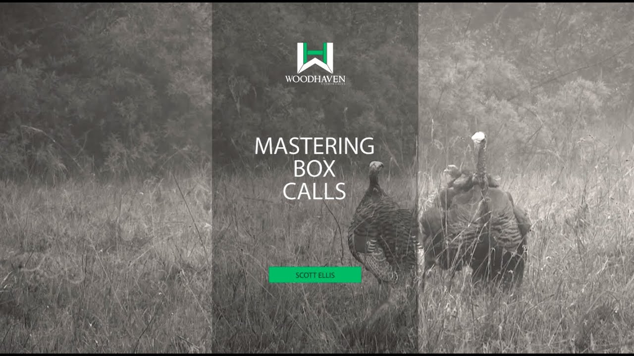 Mastering Box Calls