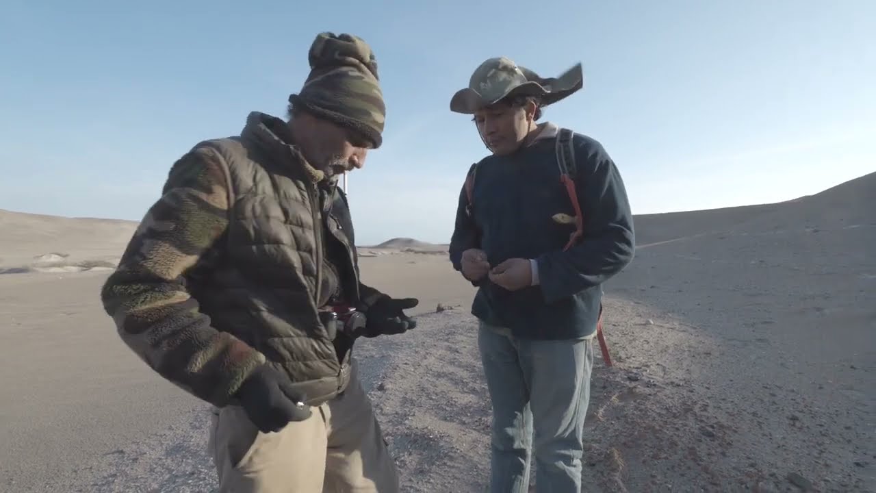 🎯 Perú: La extinta vida marina de Sacaco - Mario Urbina y Rodolfo Salas #UNMSM