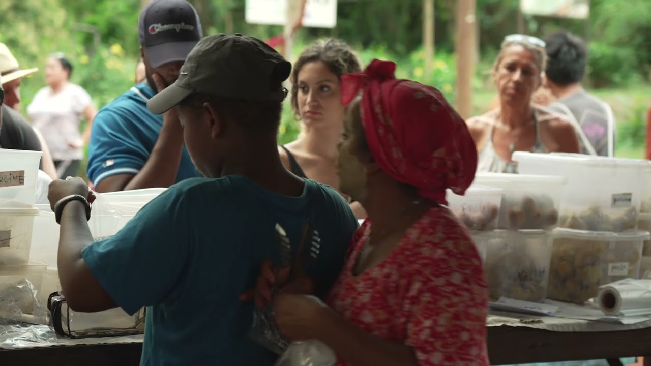 Présentation de deux projets du RITA Mayotte, Jéjé Forêt et AgrumQuaM.