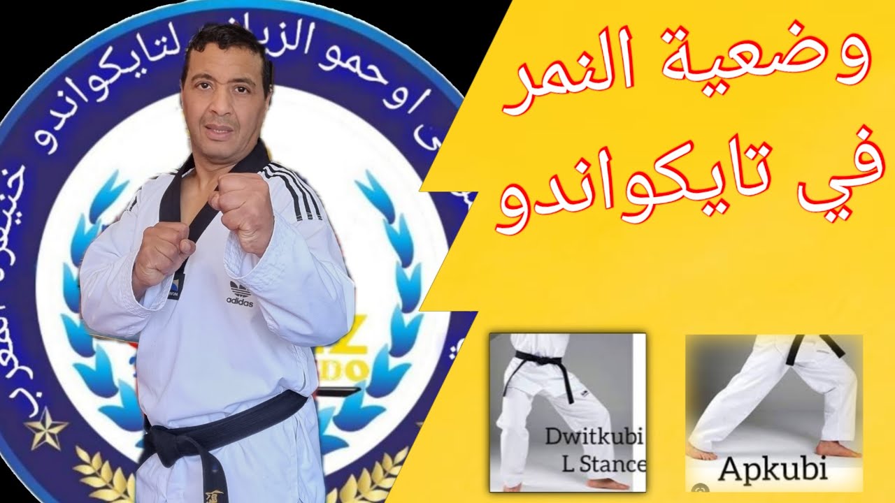 تعلم حركات تايكواندو ( الوضعيات)