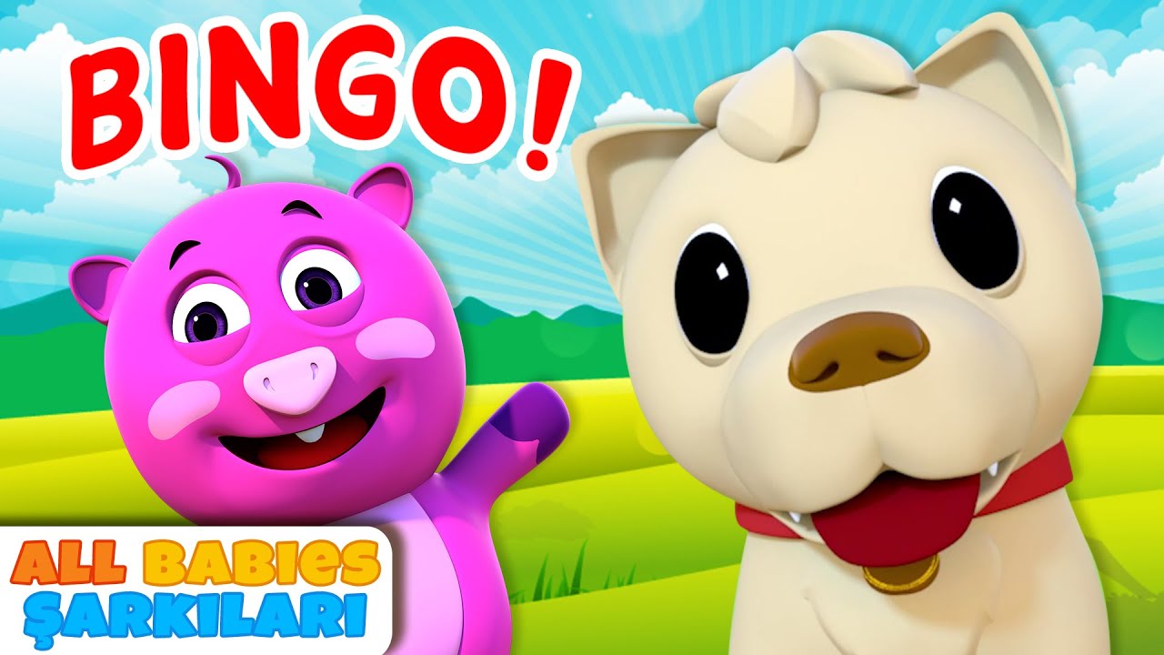 Bingo Şarkısı | çocuk şarkıları ve tekerlemeler | All Babies Turkish