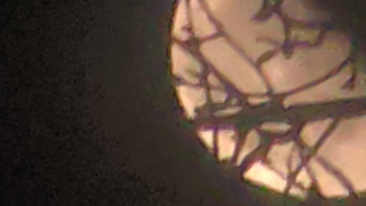 Looks like a Buck 110.......................................................The Case XX Changer
